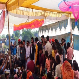 cricket final wedding match fever