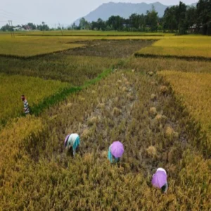 food habits impact climate emissions report