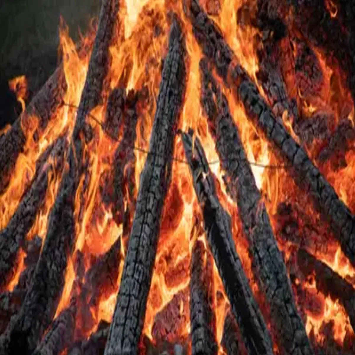 Holikadahan Holikadahan Chndr Grh Bich Hoga