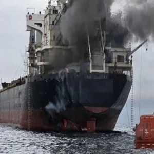 hormuz transit indian ships safe passage