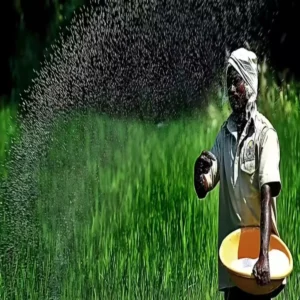 india urea supply concern amid middle east gas crisis