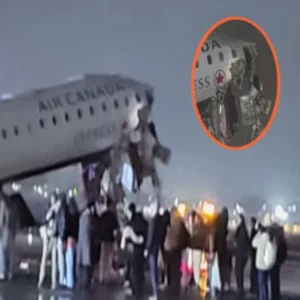 laguardia plane crash passenger bravery