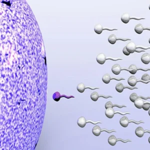 pineapple testosterone sperm benefits