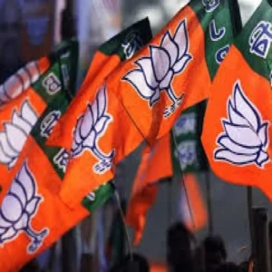 up local politics nominated councillors list issues