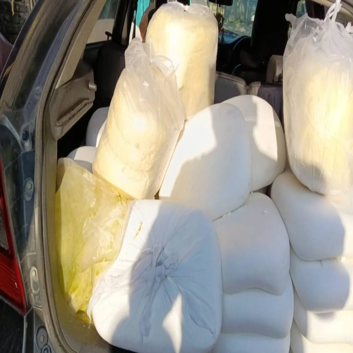 Foodsafety 523 Foodsafety Uttrakhnd Men Tin