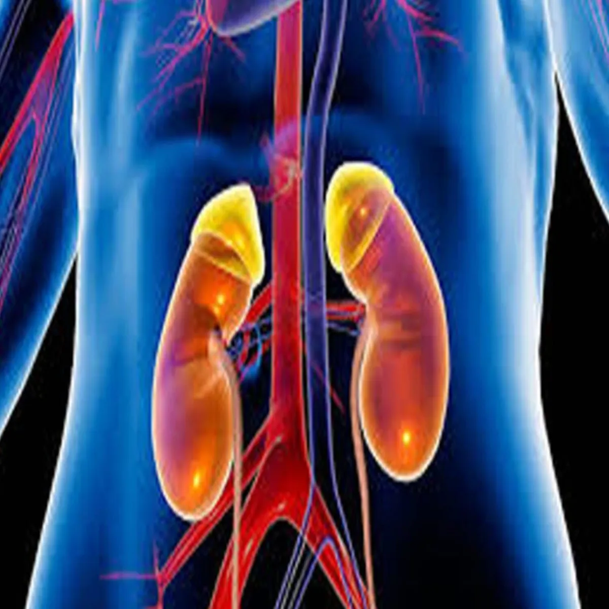 Worldkidneyday Worldkidneyday Kidni Seht Dktron Chetavni