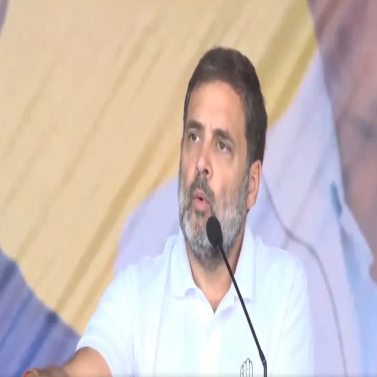 Politicalrow Politicalrow Rahul Gandhi Aaropon Asm