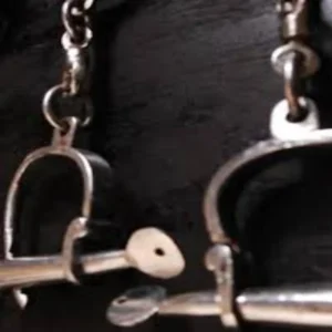 bhola singh cbi arrest surat