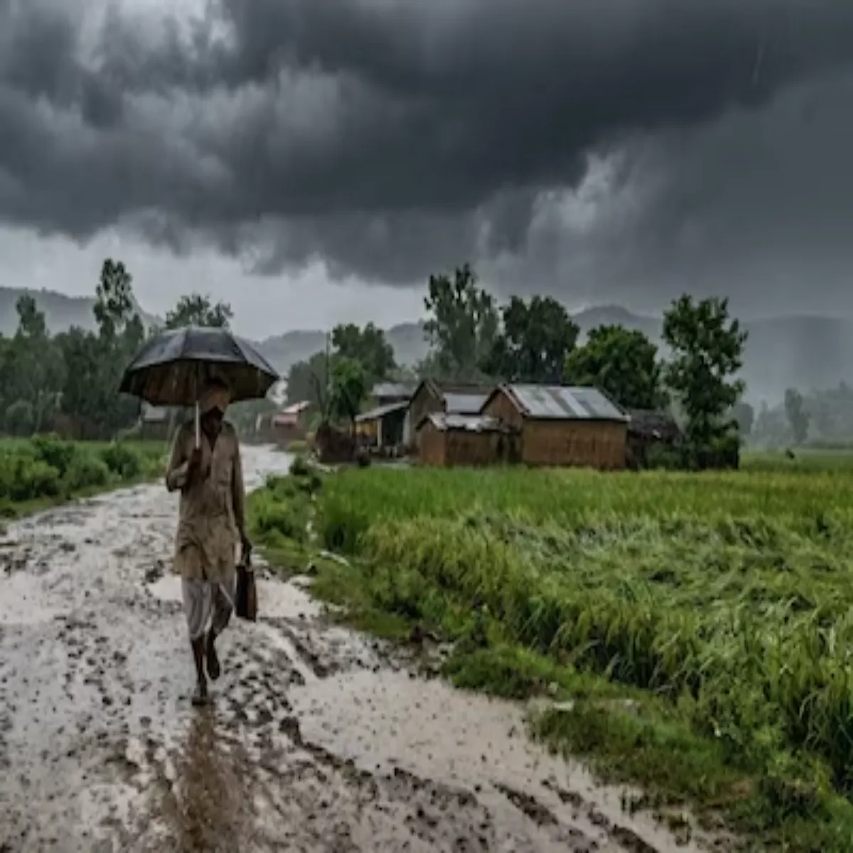 Weatheralert Weatheralert Bihar Men Aandhi Barish