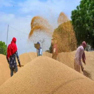 bihar wheat procurement target increase relief