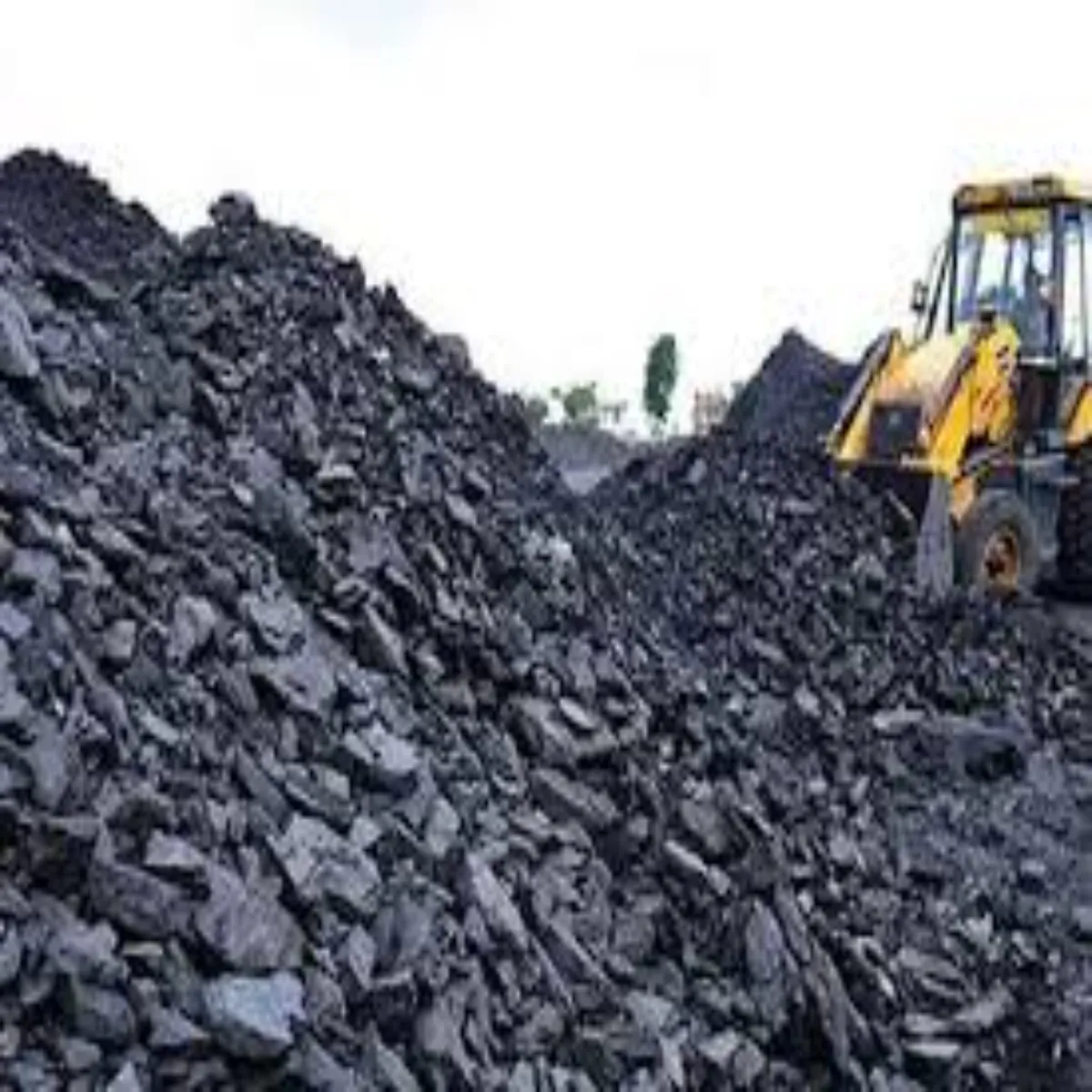 Coalsmuggling Coalsmuggling Eedi Ujagr Jharkhnd Bngal