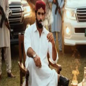 dhurandhar2 global praise for danish pandor