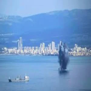 iran us oman sea tensions ceasefire crisis