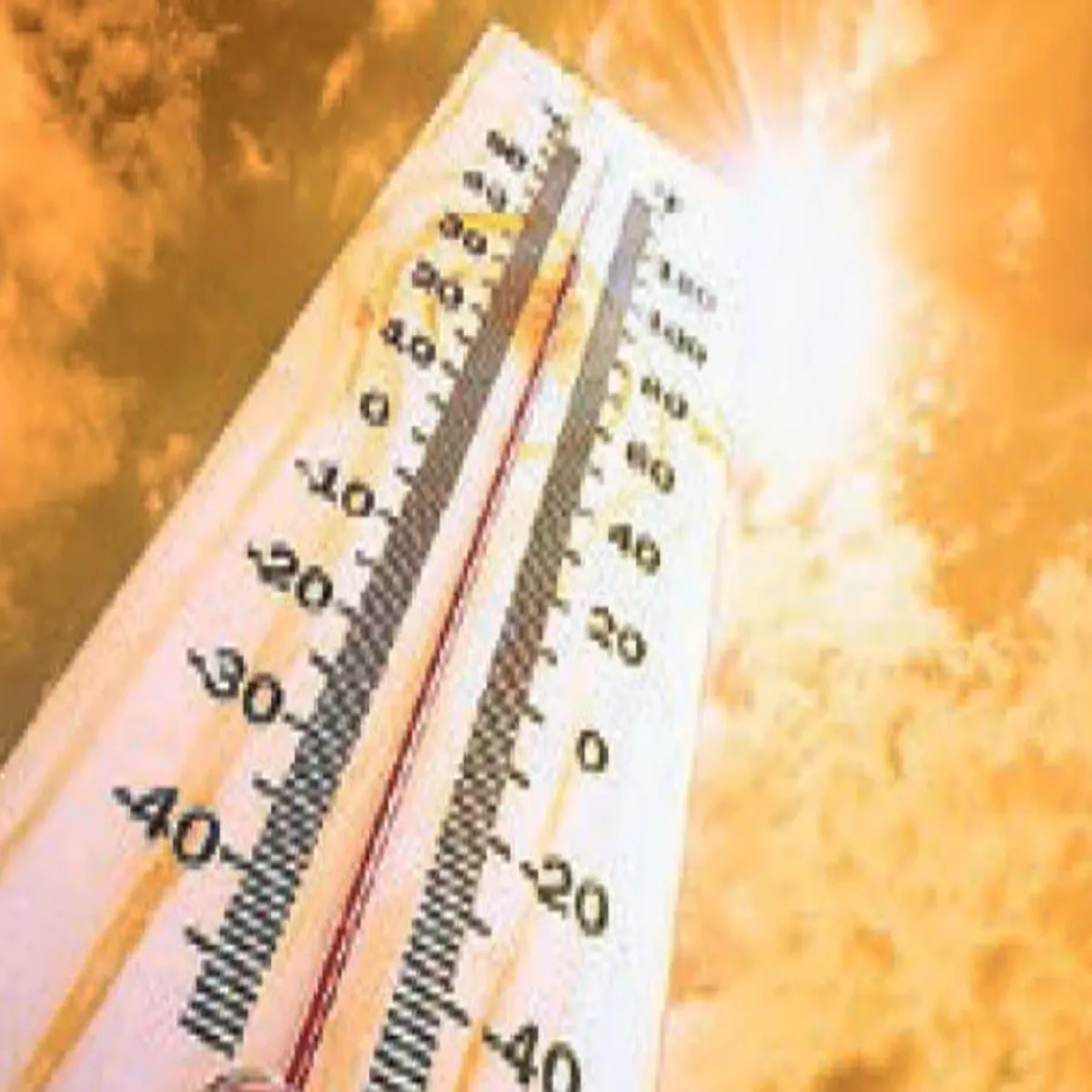 Jharkhandheat Jharkhandheat Rajy Men Bdhi Grmi
