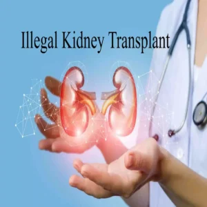 kanpur illegal kidney transplant racket case