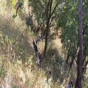 katihar jackal attack woman death missing man