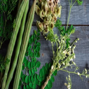 moringa leaves affordable superfood health benefits