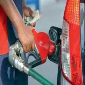 petrol diesel prices stable despite crude fall