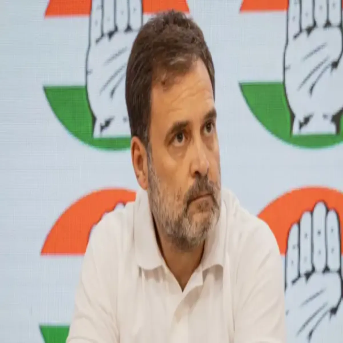 Tamilnadupolitics Tamilnadupolitics Chunavi Hlchl Bich Rahul