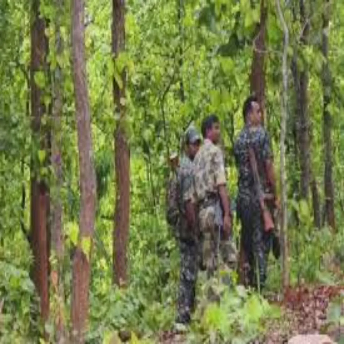 Naxaloperation Naxaloperation Sarnda Men Nksliyon Antim