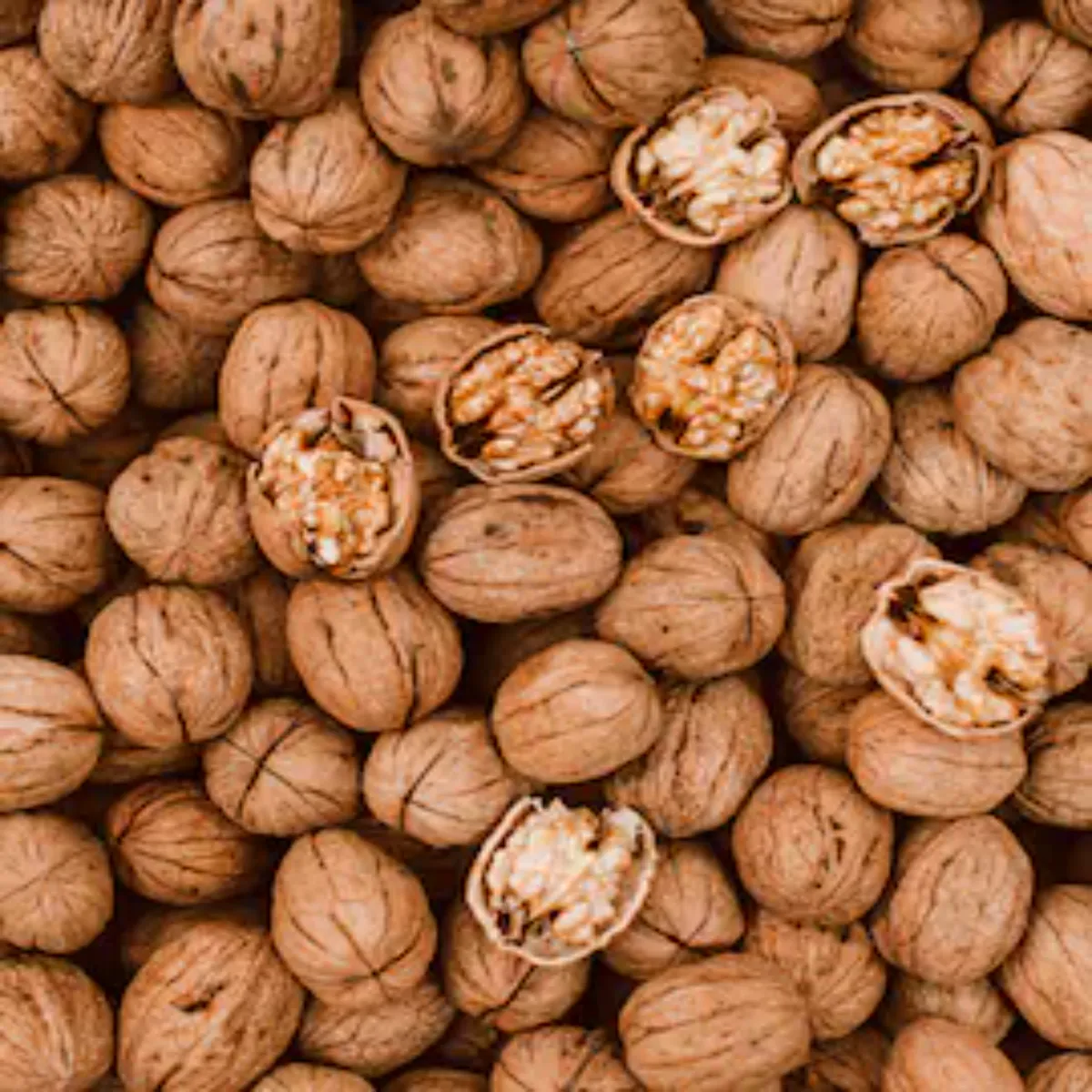 Walnutbenefits Walnutbenefits Bhige Akhrot Khane Seht