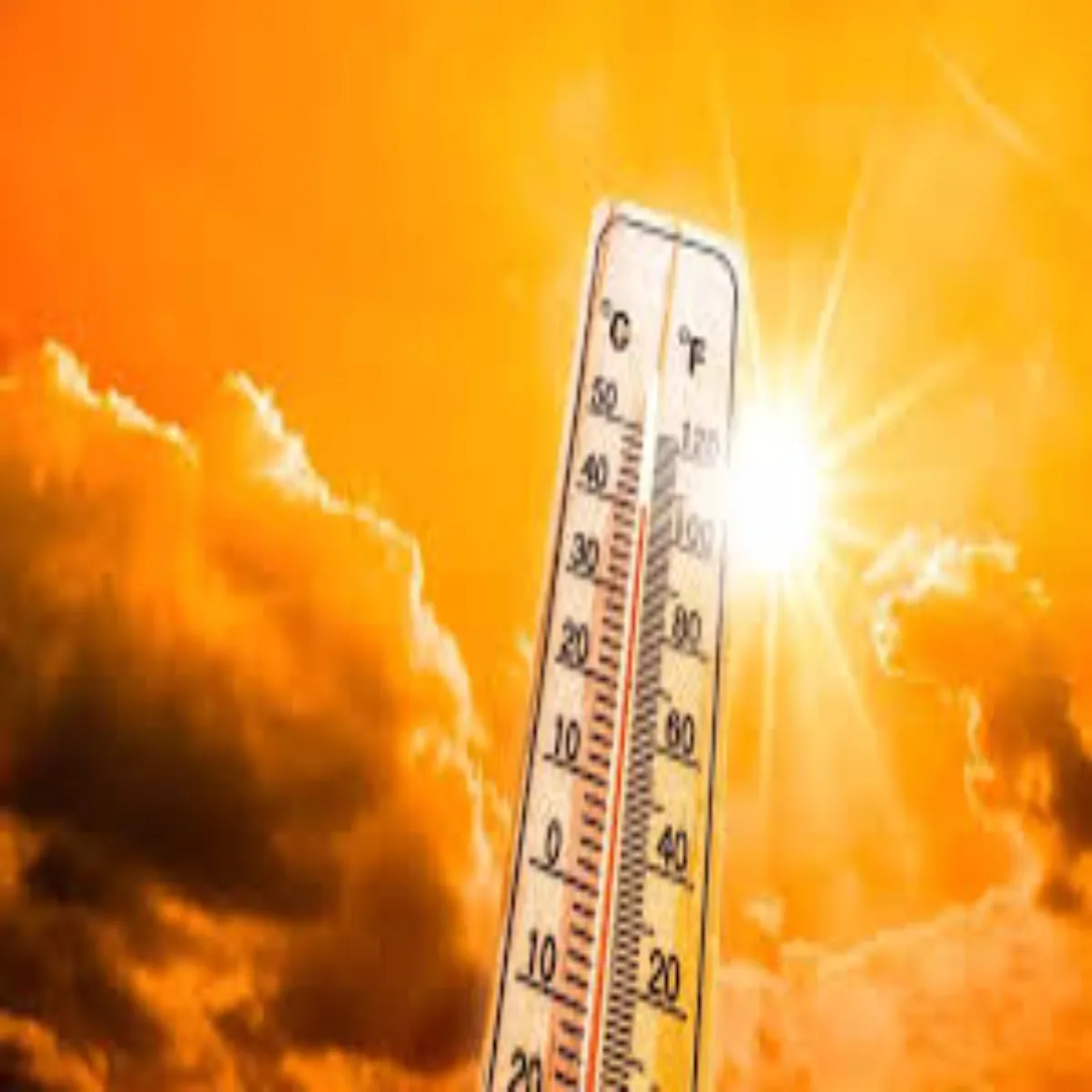 Heatwavealert Heatwavealert Yupi Men Bdhti Grmi