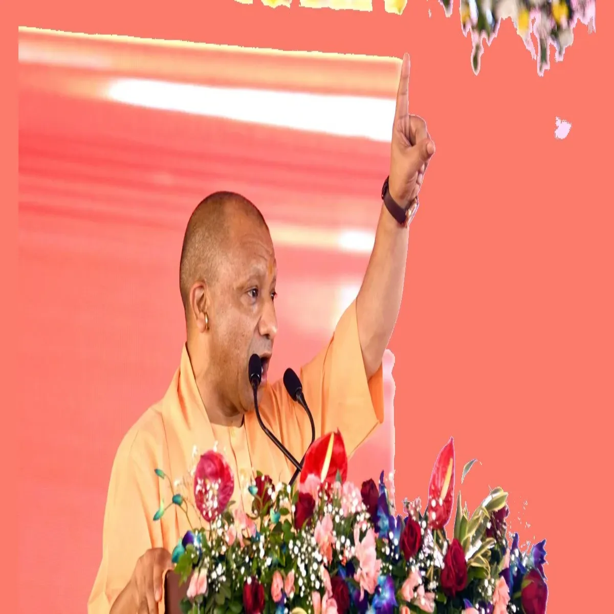 Wageboard Wageboard Sal Bad Yupi Men