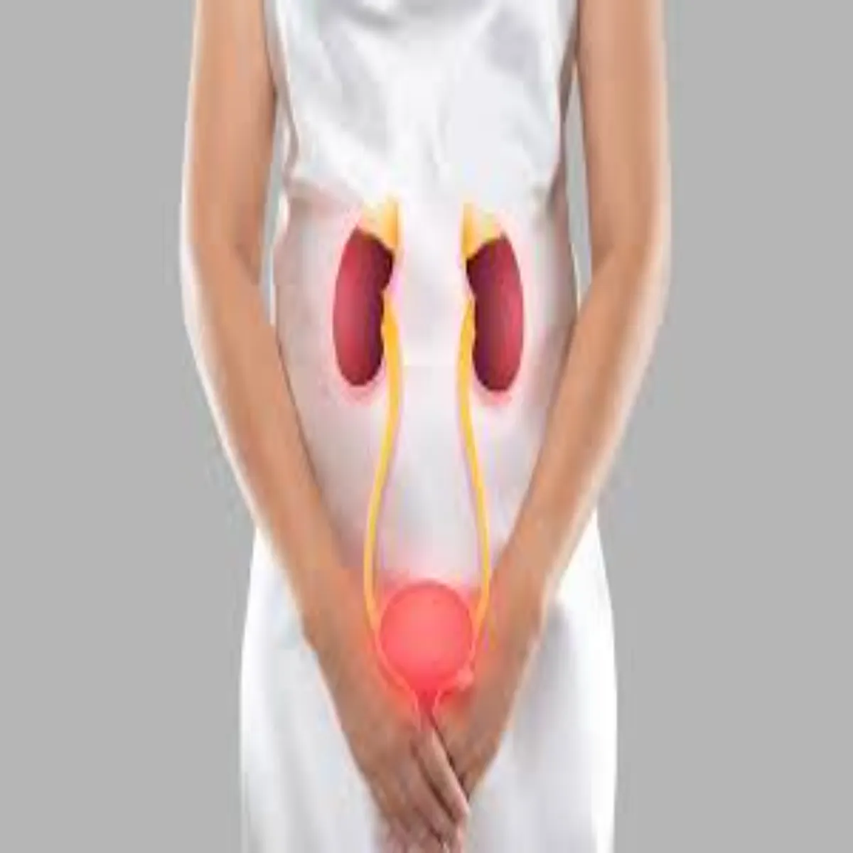 Utiinfection Utiinfection Mhilaon Men Bdhte Yutiaaee