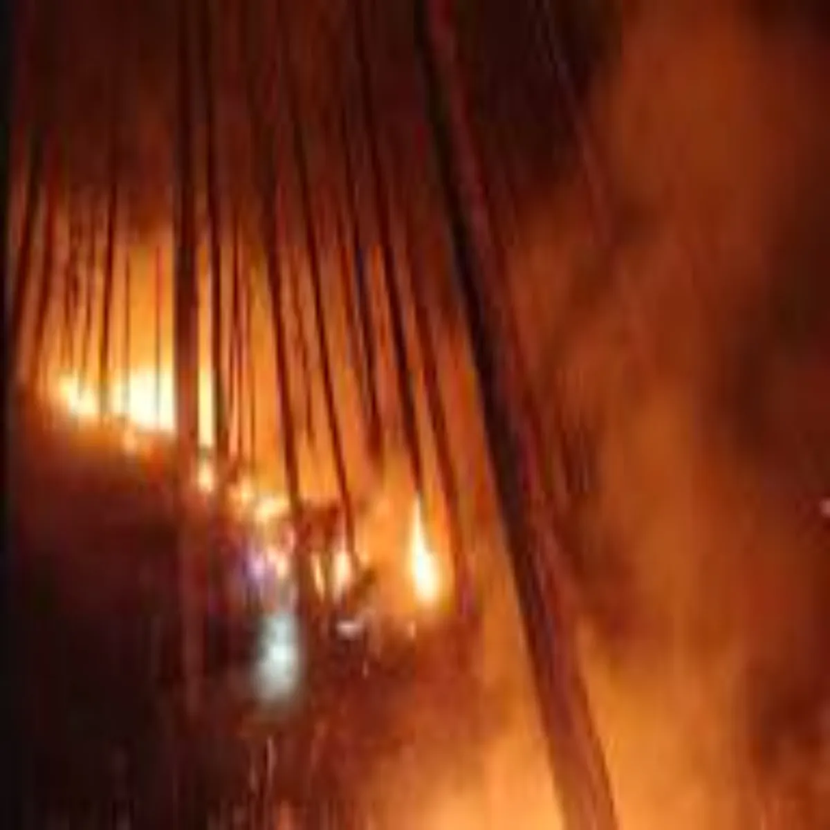 Forestfire Forestfire Uttrakhnd Askot Abhyary Men