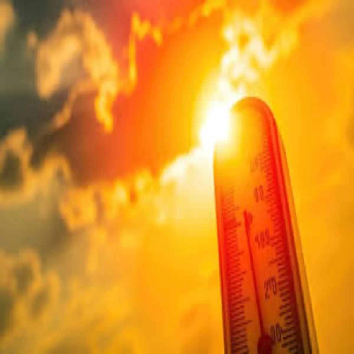 Heatwavealert Heatwavealert Uttrakhnd Men Tej Grmi