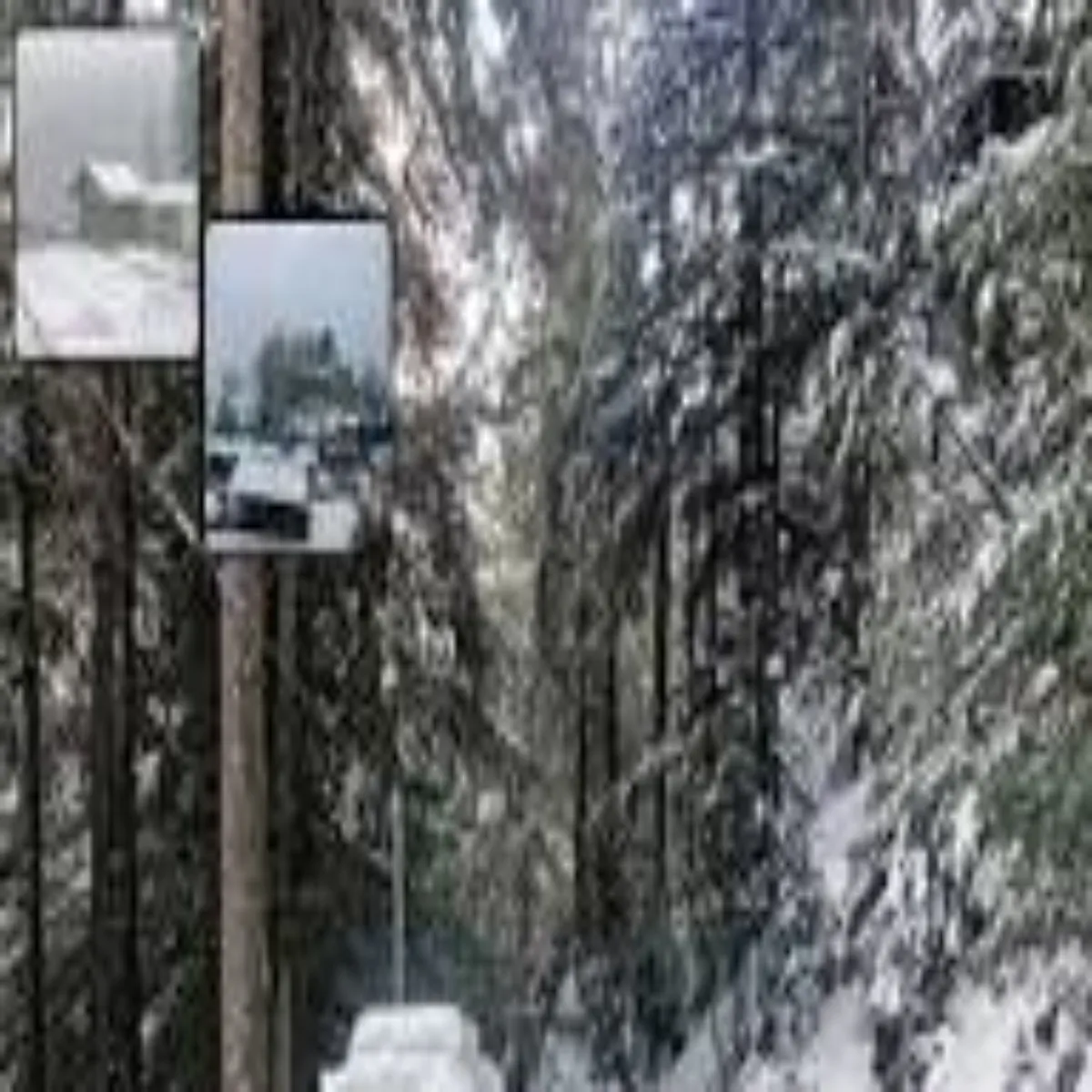 Uttarakhandweather Uttarakhandweather Phadon Men Bdlega Mausm