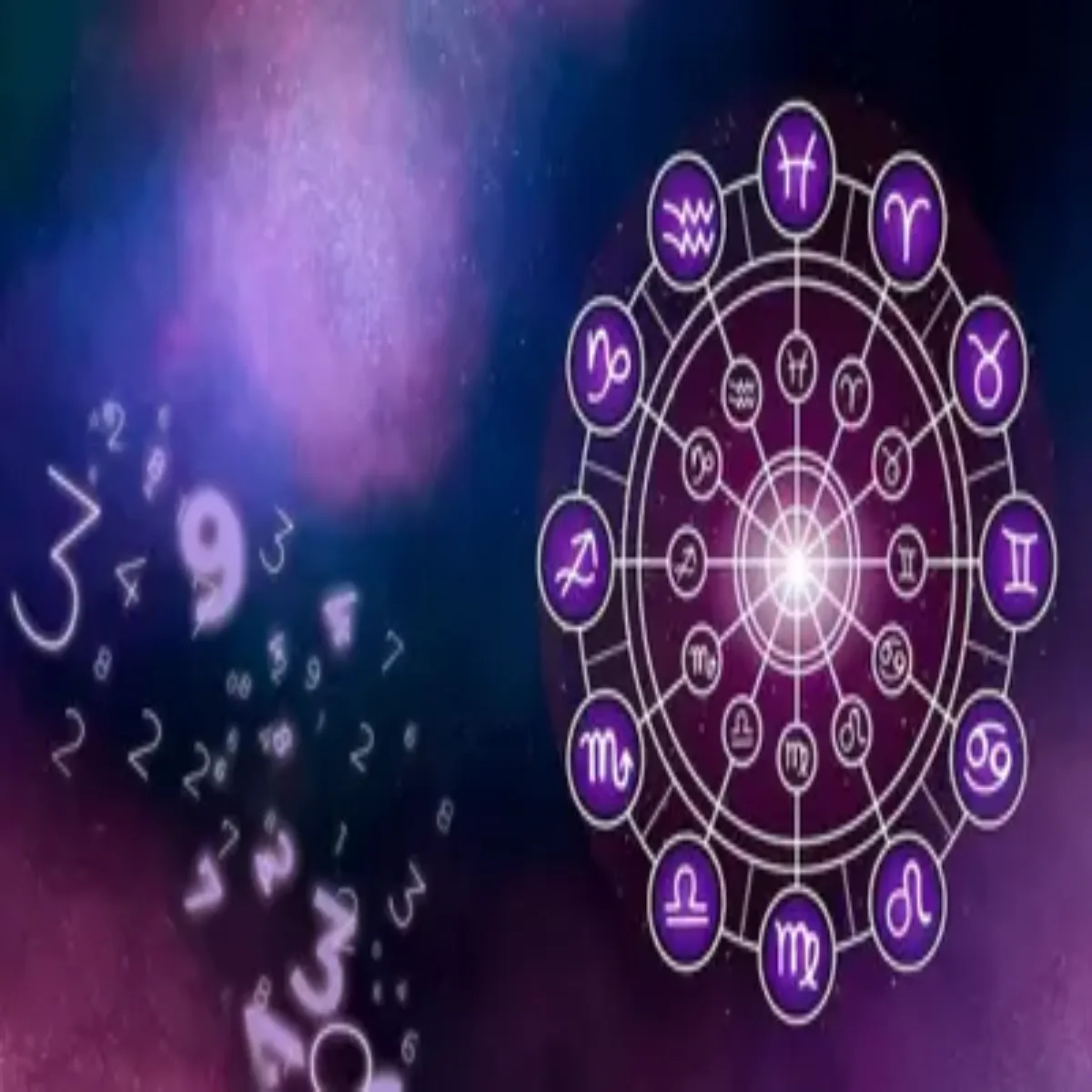 Venustransit 2026 Venustransit Shesh Mhinon Men