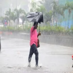 weather heatwave rainstorm india forecast