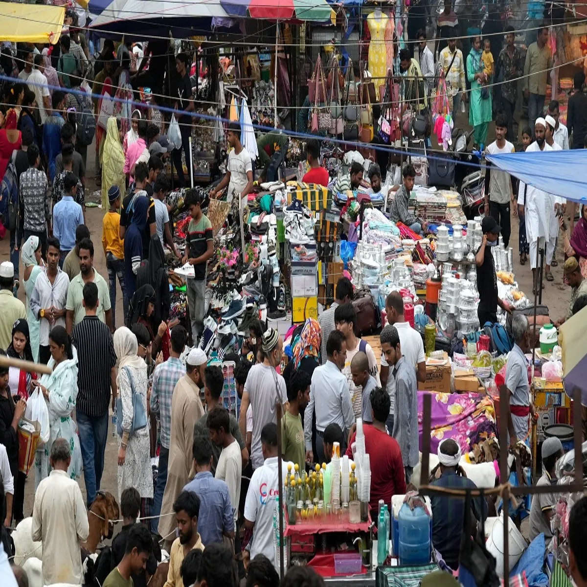 Bakrid Bakrid Tyohar Phle Nmaj Kurbani