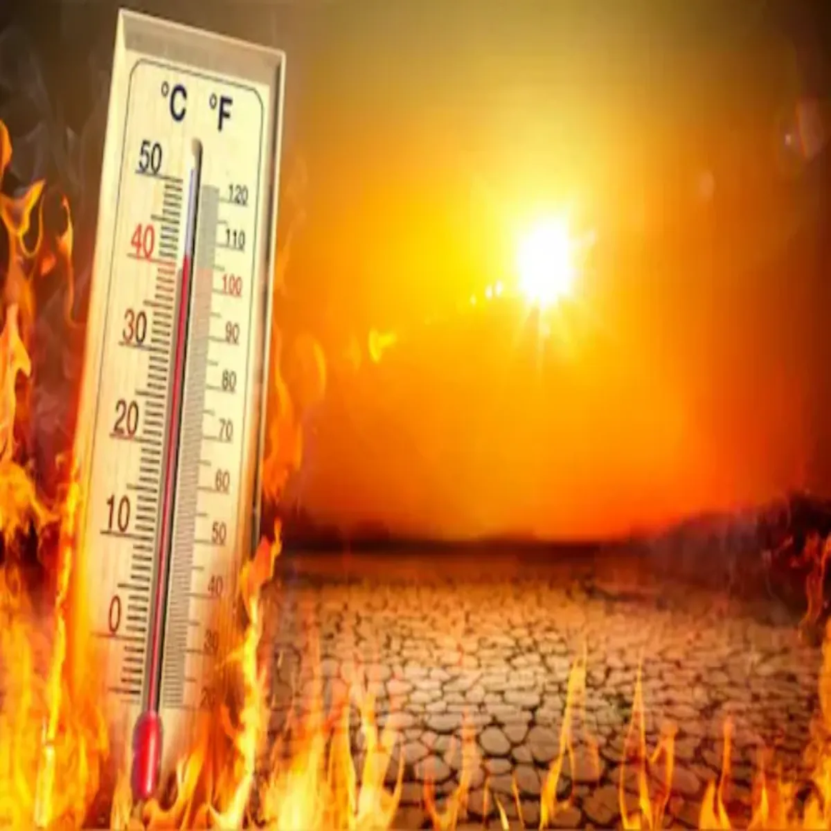 Heatwavealert Heatwavealert Banda Men Bdhte Tapman