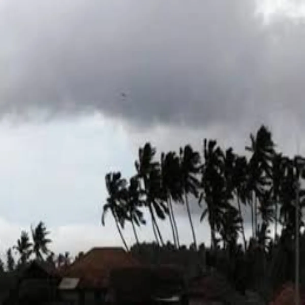 Weatheralert Weatheralert Bihar Jilon Men Jari