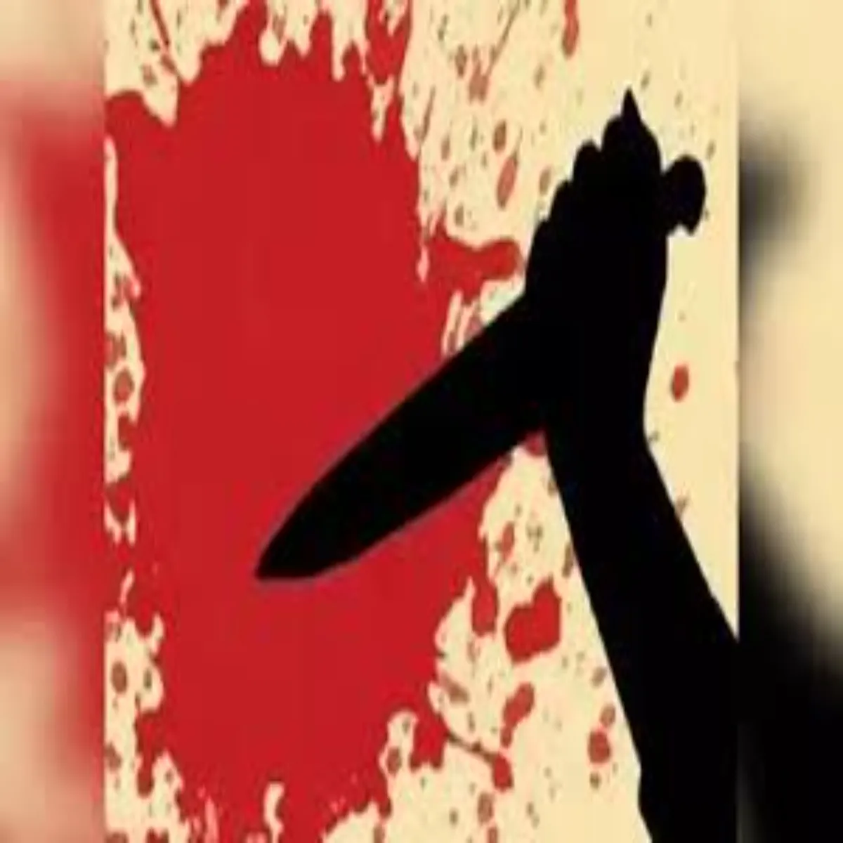 Crimeinvestigation Crimeinvestigation Bijnaur Men Liv Tnr