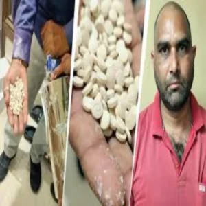 captagon drug network busted in dehradun