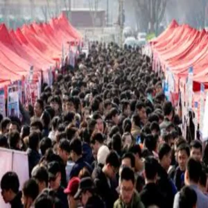 china shepherd job crisis