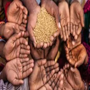 china stockpiling amid global food security crisis