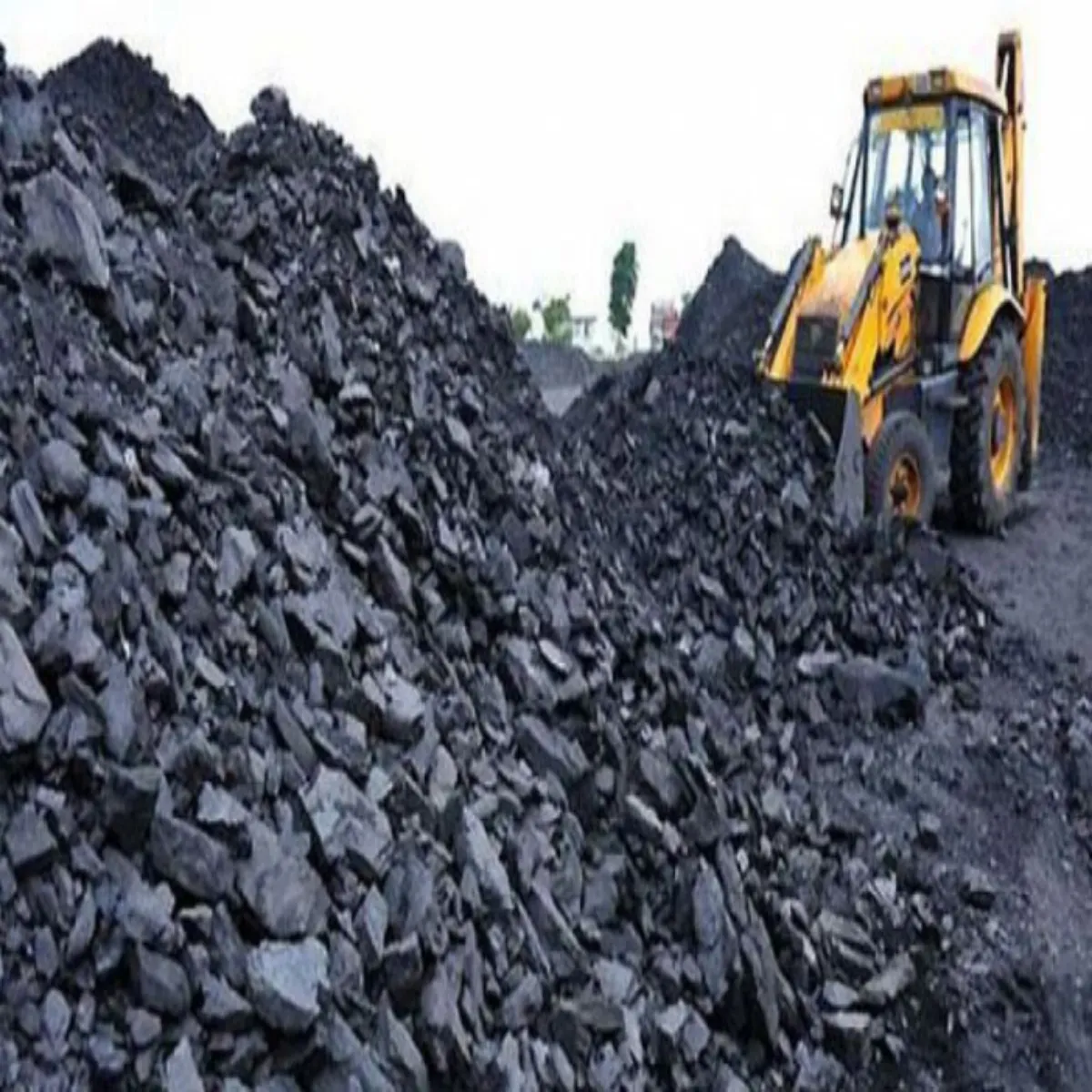 Coalindia Coalindia Kol Indiya Men Bde