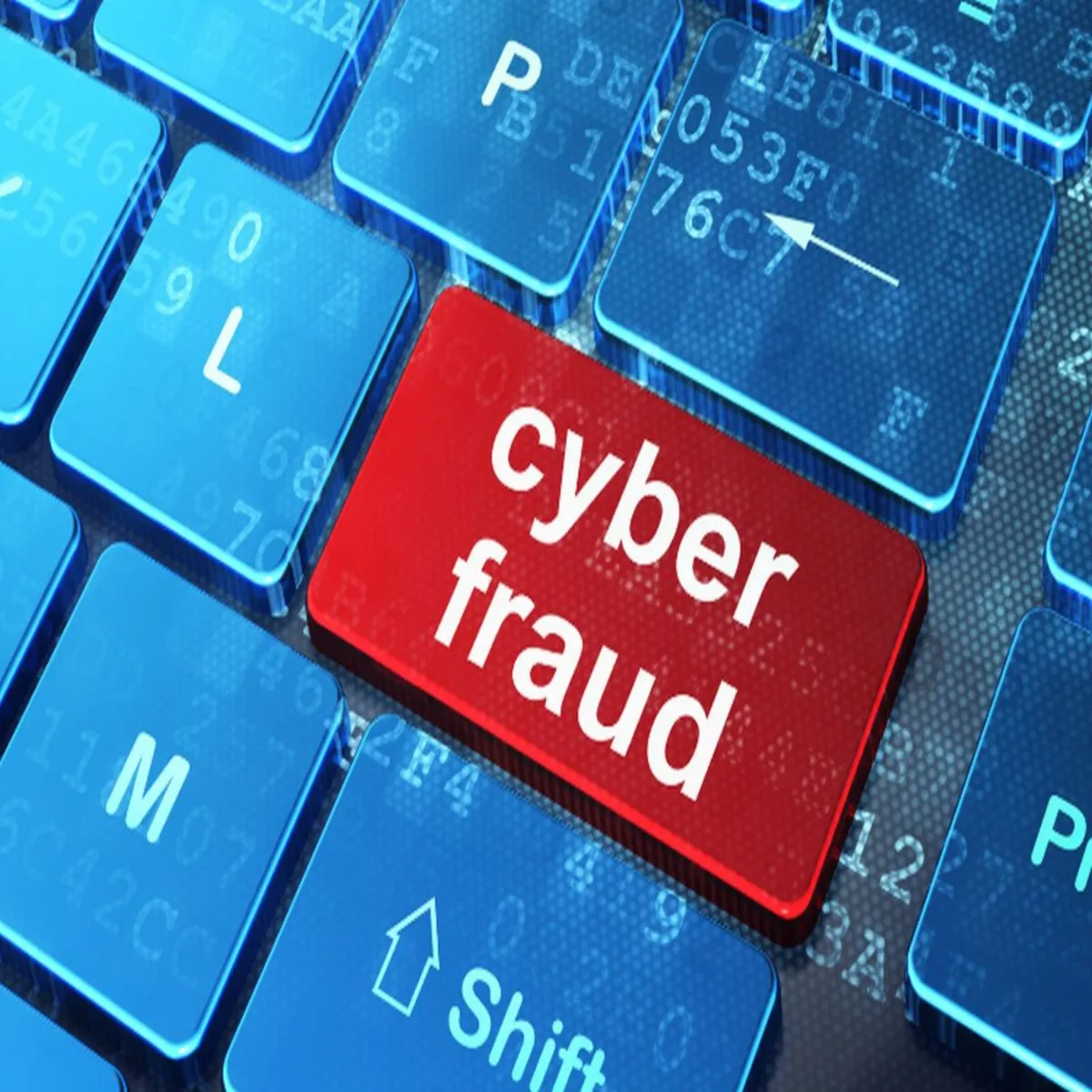 Cyber Fraud Cyber Fraud Pnchayt Chunav
