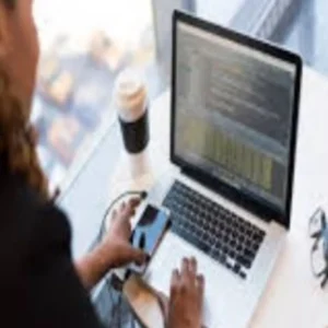 digital governance urban services single portal update