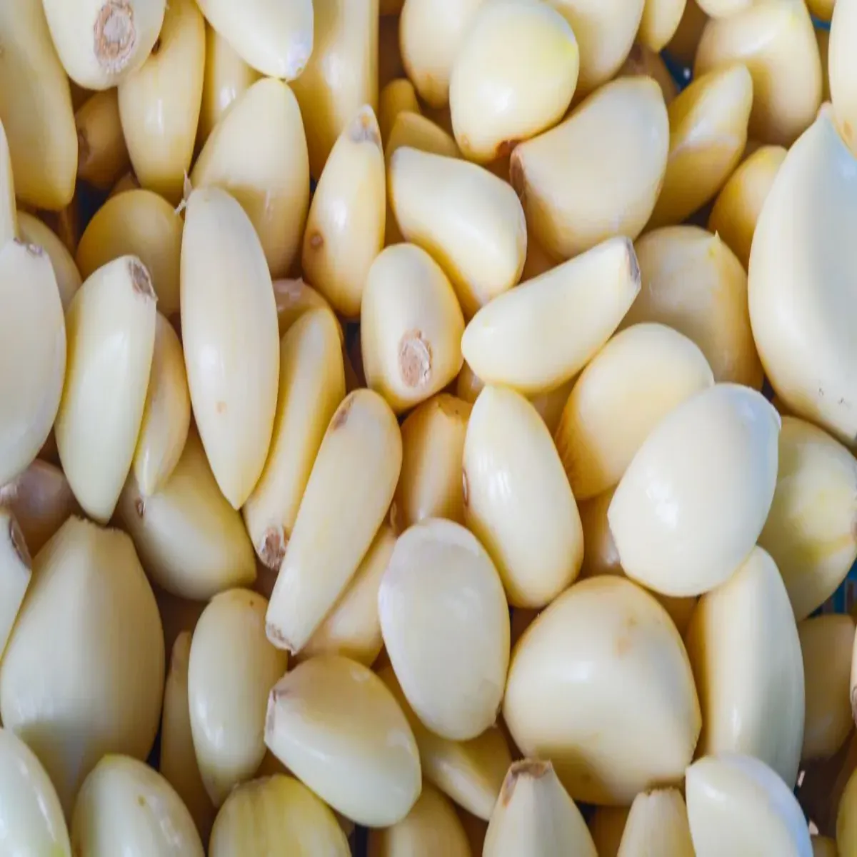 Garlicbenefits Garlicbenefits Subh Khali Pet Lhsun
