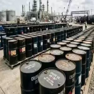 global oil reserve crisis concern