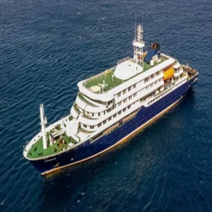 hantavirus cruise ship outbreak alert