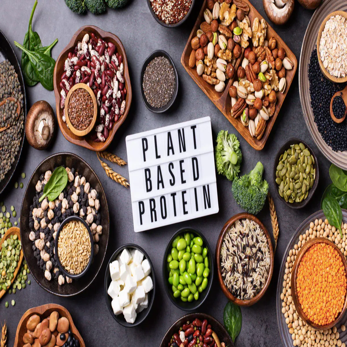 Proteindiet Proteindiet Ghr Khane Men Aise