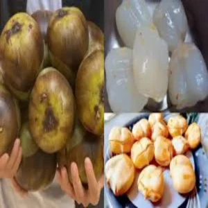 ice apple summer cooling fruit benefits