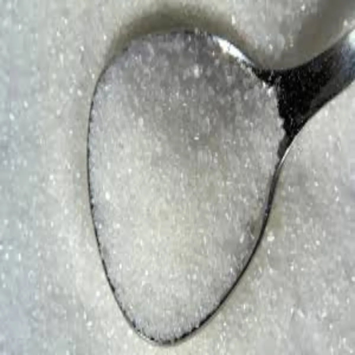 Sugarexport Sugarexport Ghrelu Kimton Snbhalne Lie