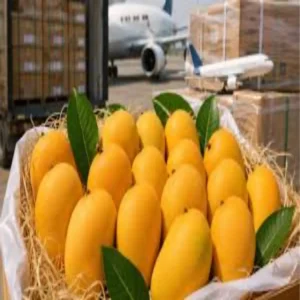 japan bans indian mango exports